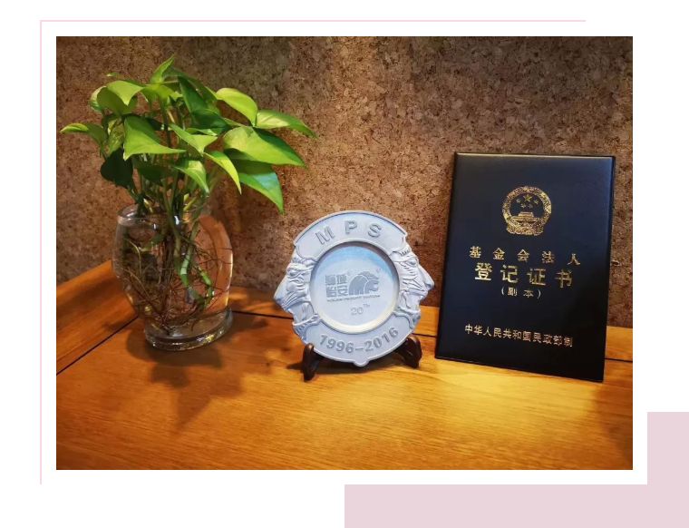 狮城怡安成立上海清新之爱公益基金会